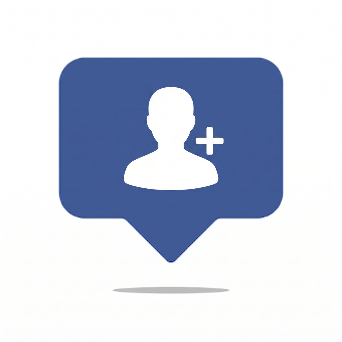 Facebook Seguidores (Página)